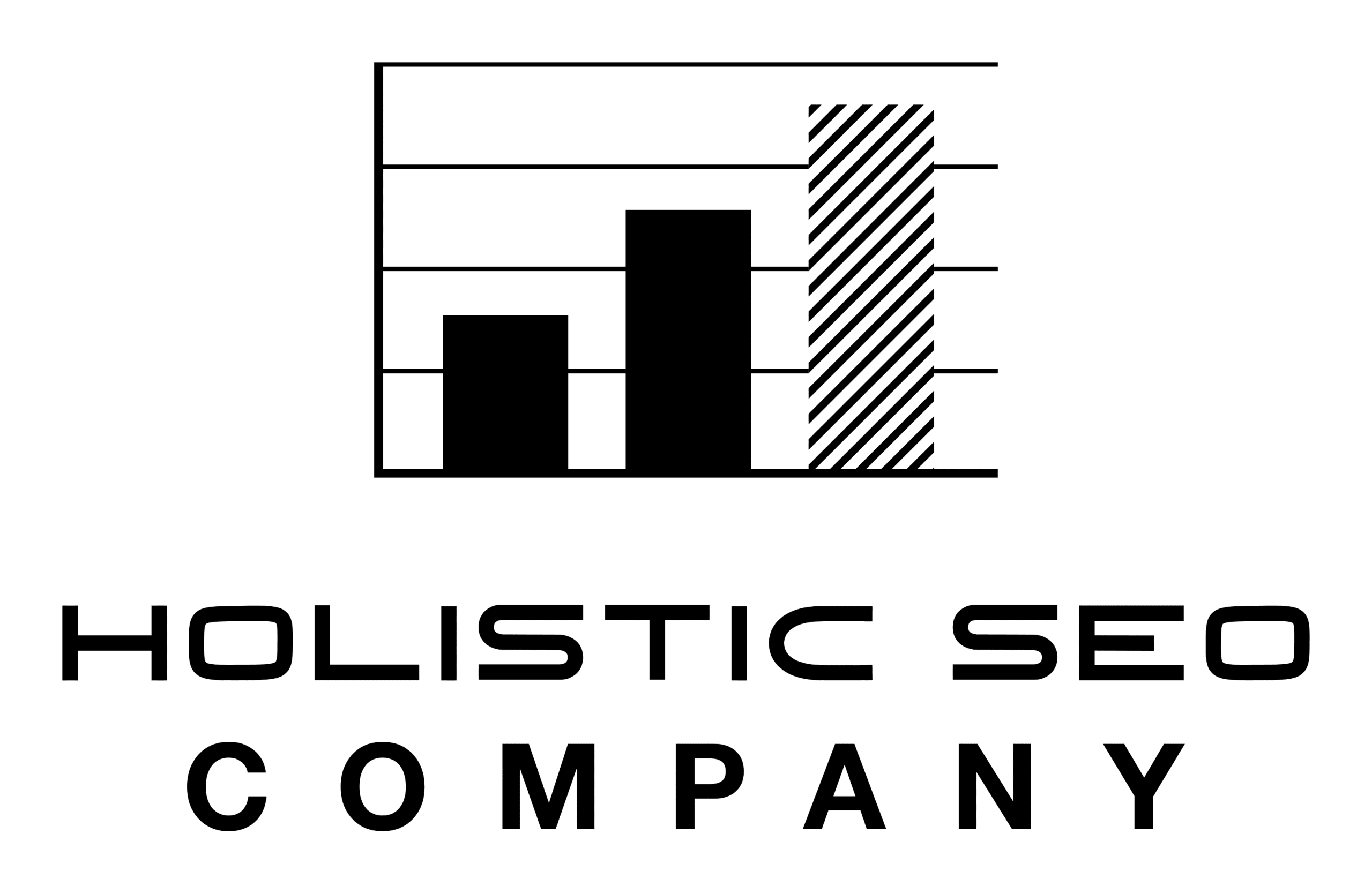 Holistic SEO Company-Black logo